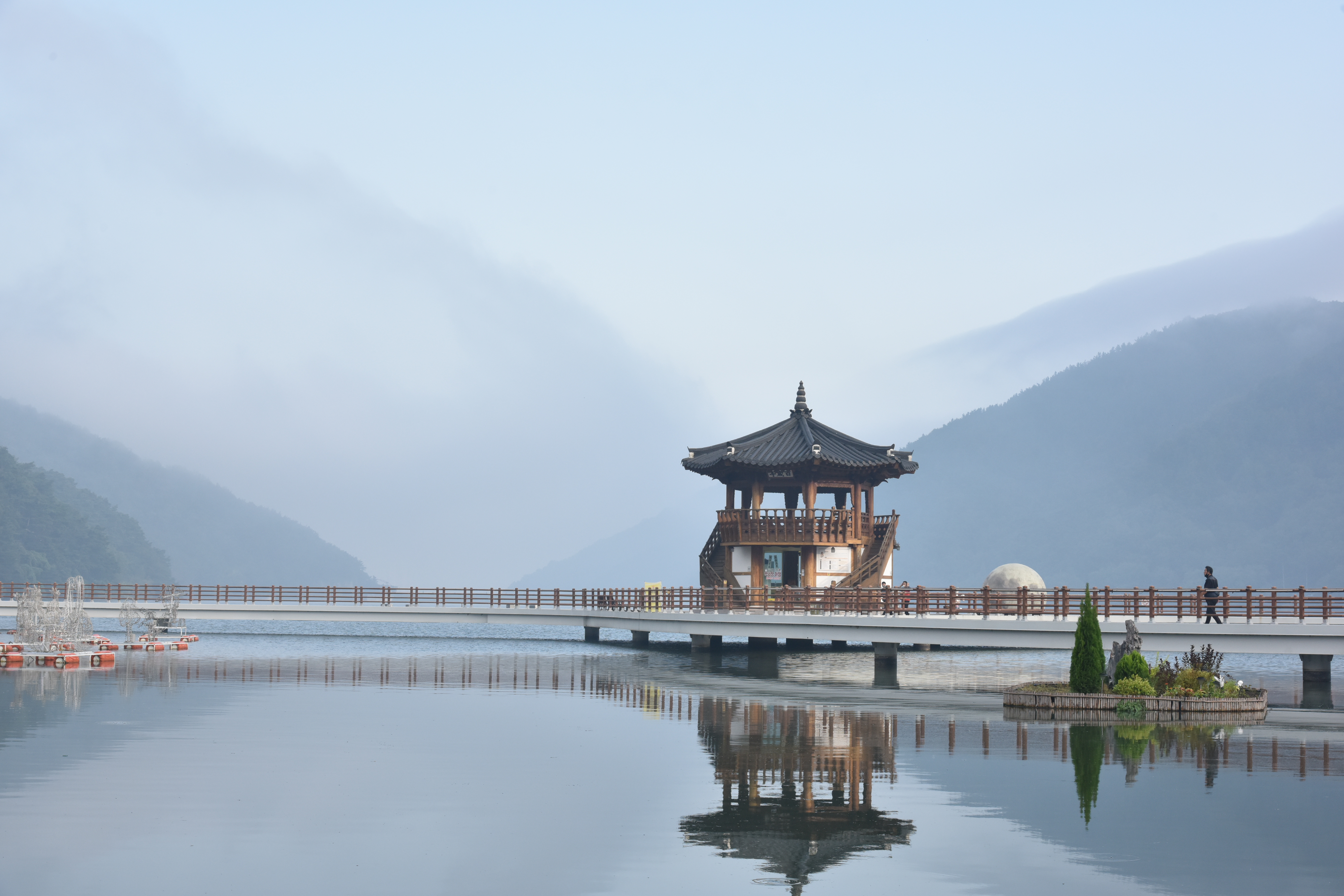 湖面日出，第一缕阳光在花瓣上铺开。